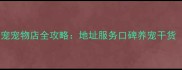 哈尔滨宠物店推荐圣宠宠物店全攻略地址服务口碑养宠干货附免费领宠指南
