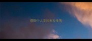 濮阳个人卖拉布拉多狗