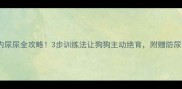 边牧笼内尿尿全攻略3步训练法让狗狗主动绝育附赠防尿垫测评