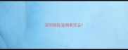 深圳国际宠物展览会