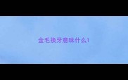 金毛换牙意味什么