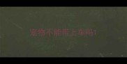 宠物不能带上车吗