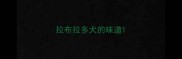拉布拉多犬的味道