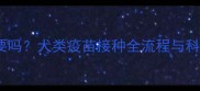 幼犬疫苗打三次有必要吗犬类疫苗接种全流程与科学依据最新指南