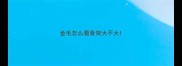 金毛怎么看骨架大不大
