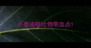 小泰迪呕吐物带血点