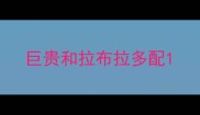 巨贵和拉布拉多配