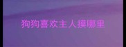 狗狗喜欢主人摸哪里