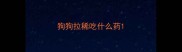 狗狗拉稀吃什么药