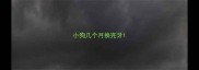 小狗几个月换完牙
