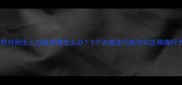 边牧对陌生人过度热情怎么办5个训练技巧助你纠正狗狗行为