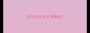 拉布拉多怎么看真假