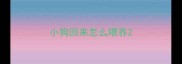 小狗回来怎么喂养