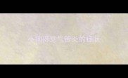 小狗得支气管炎的症状