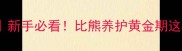 2个月比熊幼犬全攻略新手必看比熊养护黄金期这样做健康活泼到1岁