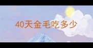 40天金毛吃多少