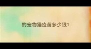 的宠物猫疫苗多少钱