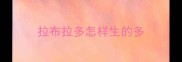 拉布拉多怎样生的多