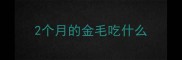 2个月的金毛吃什么