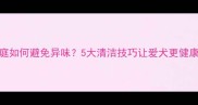 哈士奇家庭如何避免异味5大清洁技巧让爱犬更健康更省心