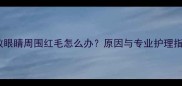 边牧眼睛周围红毛怎么办原因与专业护理指南
