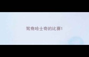 鸳鸯哈士奇的比赛