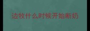 边牧什么时候开始断奶