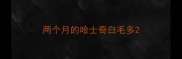 两个月的哈士奇白毛多