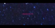 小狗应该关笼子吗