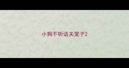 小狗不听话关笼子