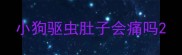 小狗驱虫肚子会痛吗