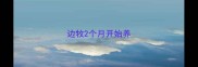 边牧2个月开始养
