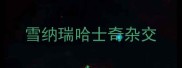 雪纳瑞哈士奇杂交
