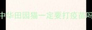 中华田园猫一定要打疫苗吗
