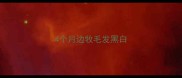 4个月边牧毛发黑白