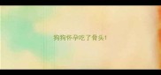 狗狗怀孕吃了骨头