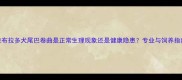 拉布拉多犬尾巴卷曲是正常生理现象还是健康隐患专业与饲养指南