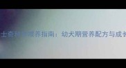 三个月哈士奇科学喂养指南幼犬期营养配方与成长管理全