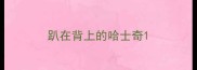 趴在背上的哈士奇
