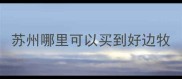 苏州哪里可以买到好边牧