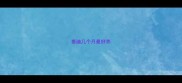 泰迪几个月最好养