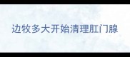 边牧多大开始清理肛门腺