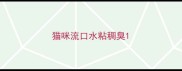 猫咪流口水粘稠臭