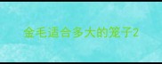 金毛适合多大的笼子