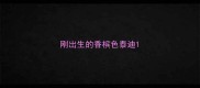刚出生的香槟色泰迪