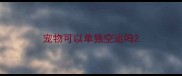 宠物可以单独空运吗