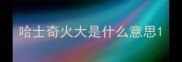 哈士奇火大是什么意思