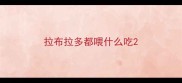 拉布拉多都喂什么吃