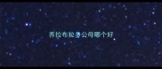 养拉布拉多公母哪个好