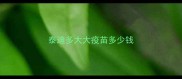 泰迪多大大疫苗多少钱